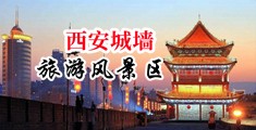骚鸡巴肥逼中国陕西-西安城墙旅游风景区
